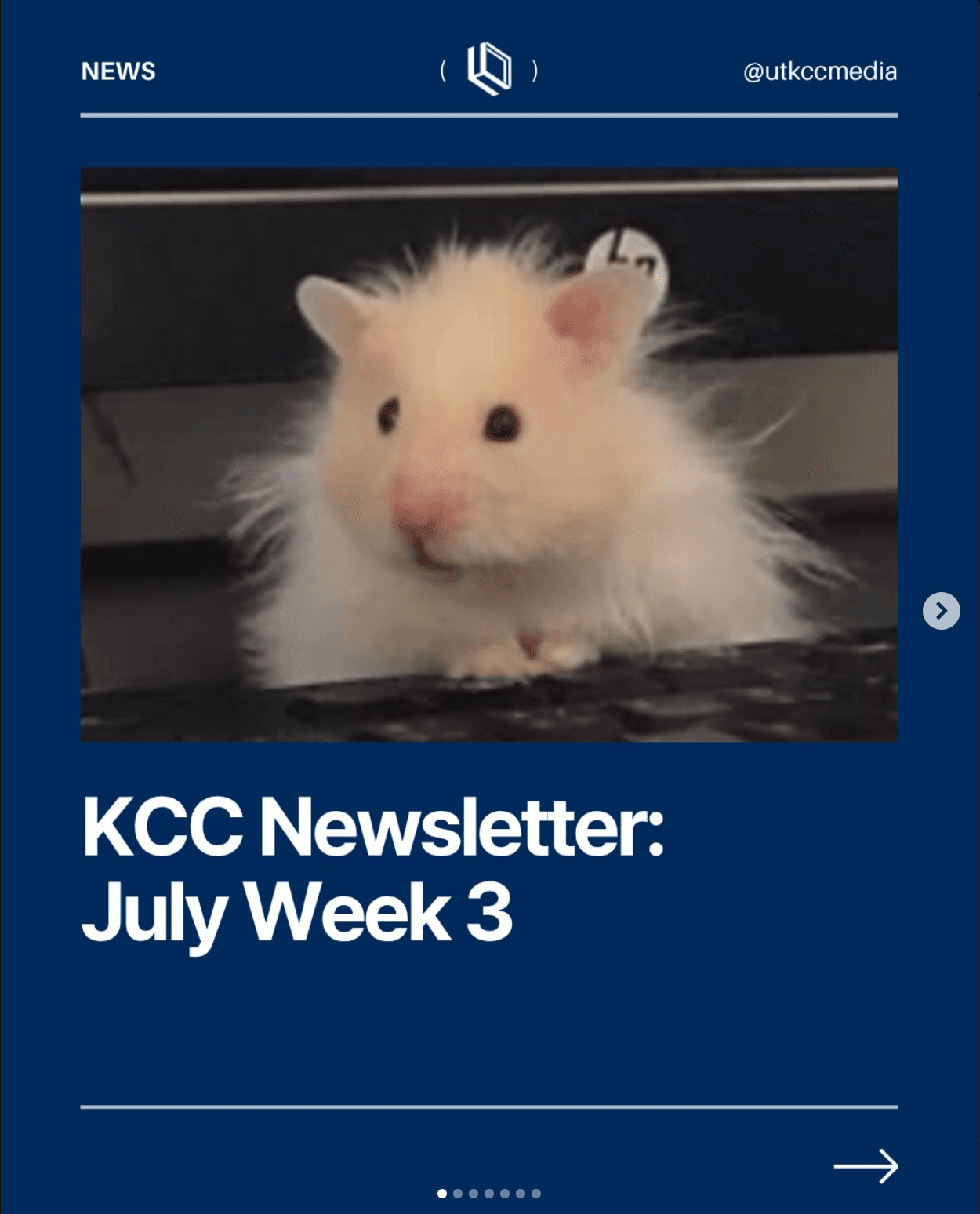 KCC Newsletter July Week 3 표지